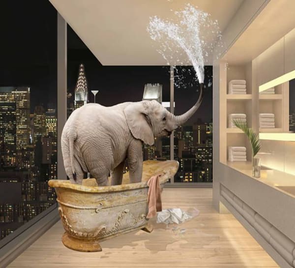 Antal Goldfinger, Jumbo Kardashian