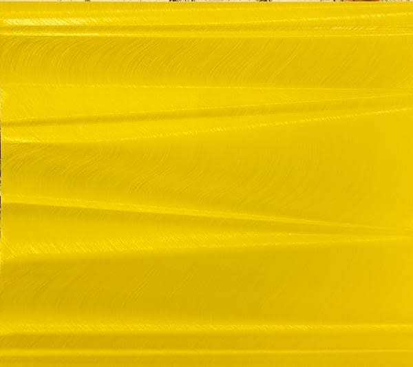 Hamilton Aguiar, Optical 21053