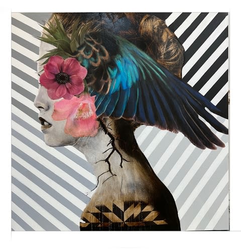 Anke Schofield, Bird of Paradise