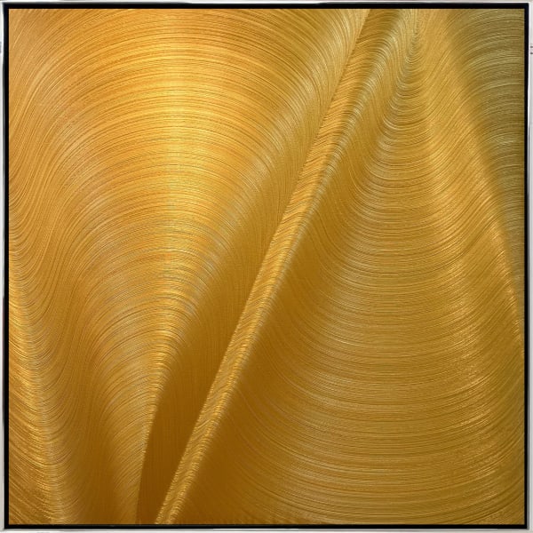 Hamilton Aguiar, Optical 22132