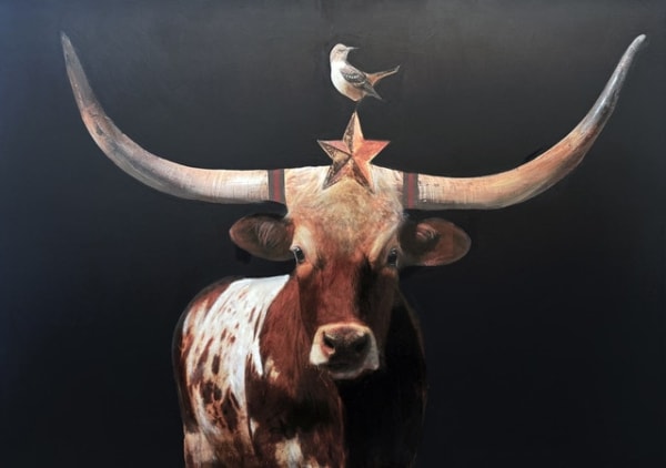 Anke Schofield, Texan Star