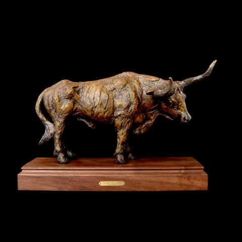 Gib Singleton, Texas Longhorn