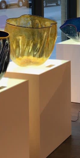 Robert Kaindl, Amber Gold Black Lip - Anthias