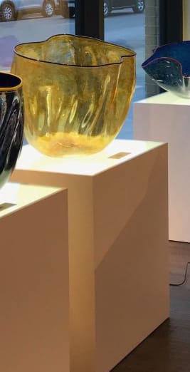 Robert Kaindl, Amber Gold Black Lip - Anthias