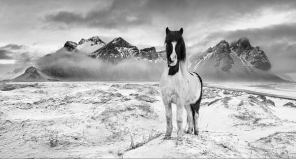 David Yarrow, True North