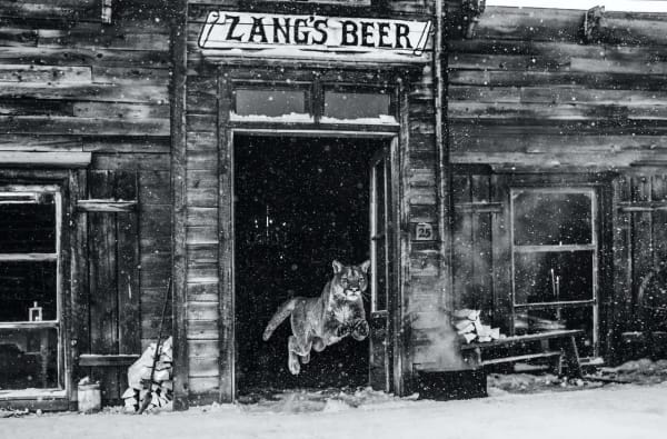 David Yarrow, In the Bleak Midwinter