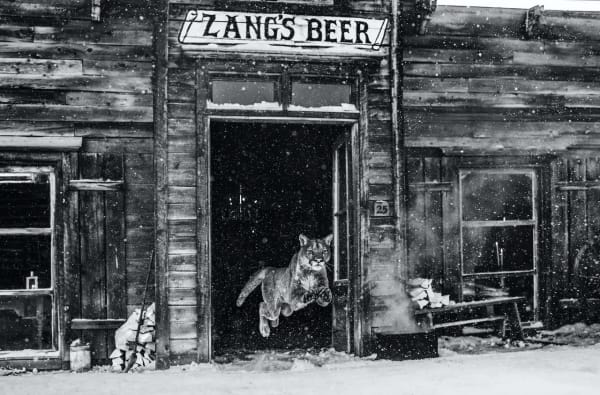 David Yarrow, In the Bleak Midwinter