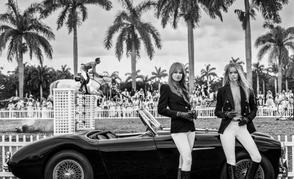 David Yarrow, The Winner Takes It All