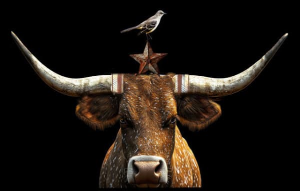 Anke Schofield, Lonestar