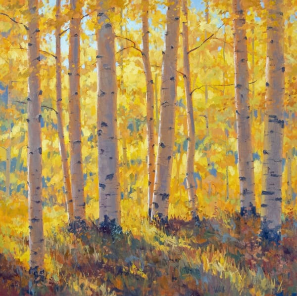 Bob Rohm, Morning Light