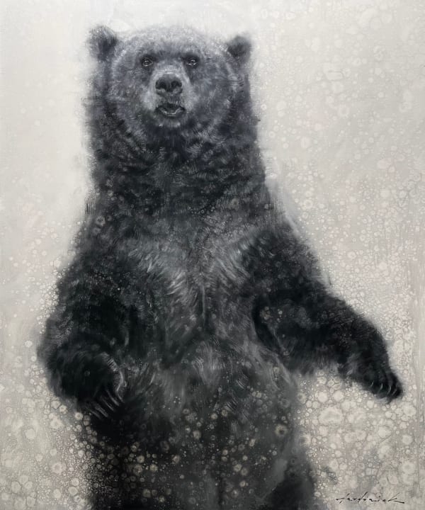 David Riley, Too Curious