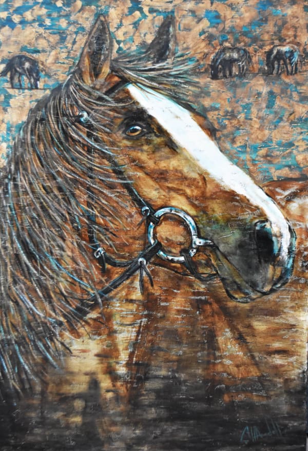 Shawndell, Cowboy Turquioses