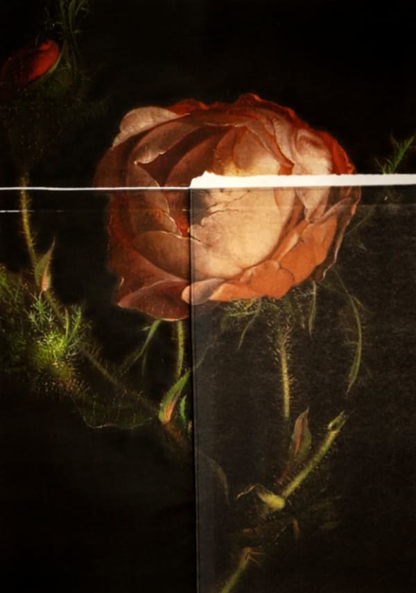 Russell Young, Way of Life