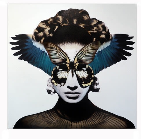 Anke Schofield, Madame Bea