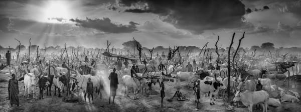 David Yarrow, The New Testament