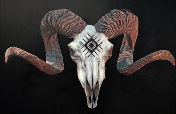 Anke Schofield, Beyond Obstacles