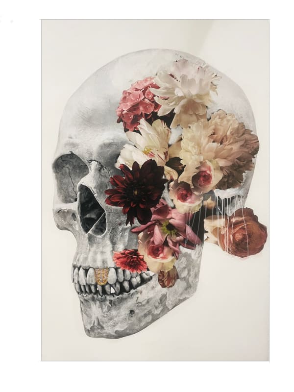 Anke Schofield, Right Skull Botanical III