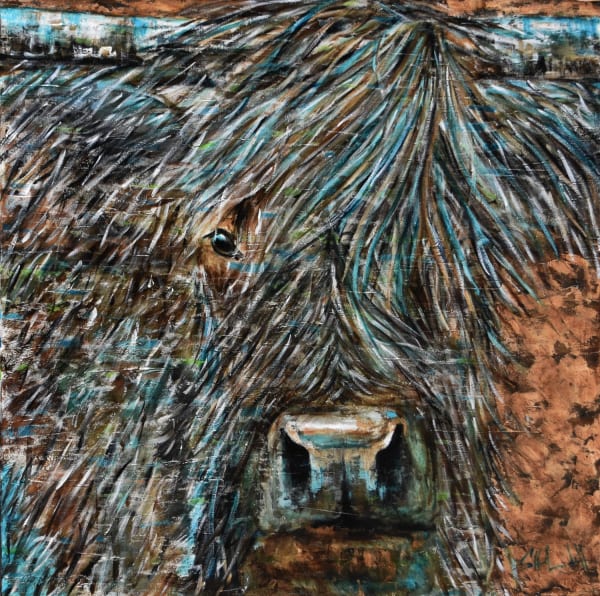 Shawndell, Wind Breaker