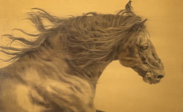 Doug Behm, Free Spirit