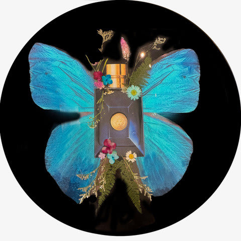 Anke Schofield - Azul 1