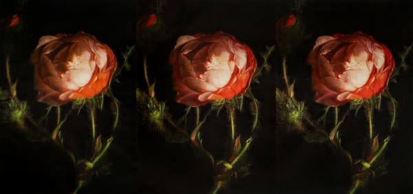 Russell Young, Vicious Circle Triptych