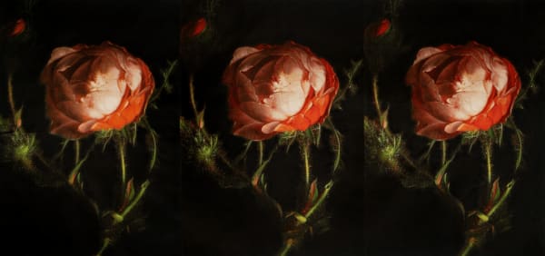 Russell Young, Vicious Circle Triptych