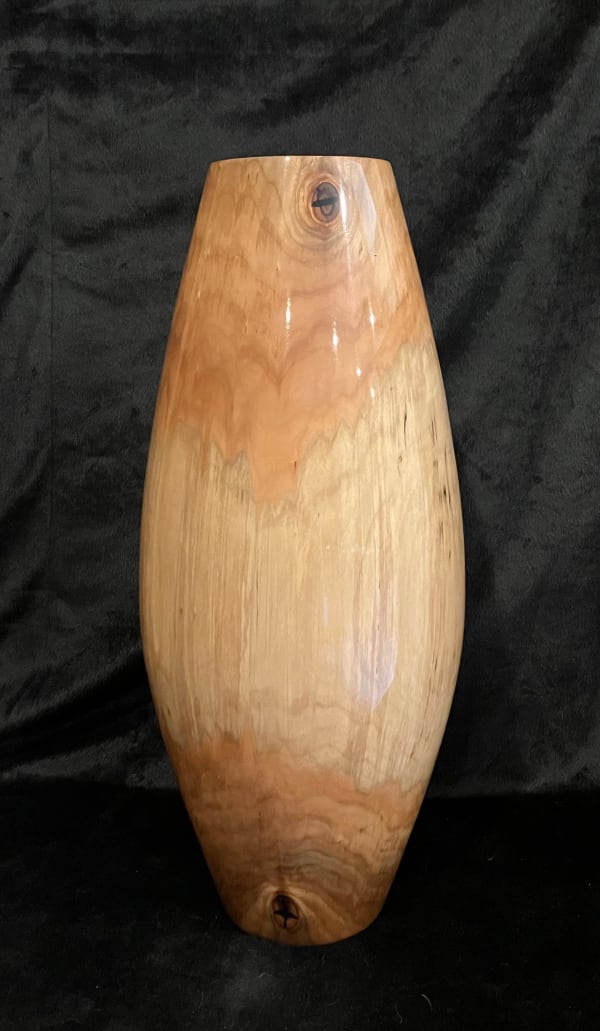 Randy Anderson, Black Willow Vessel