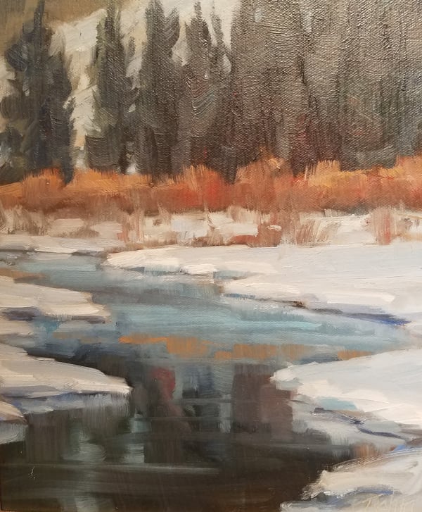 Bob Rohm, Winter Reflections