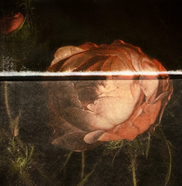 Russell Young, All Day Long