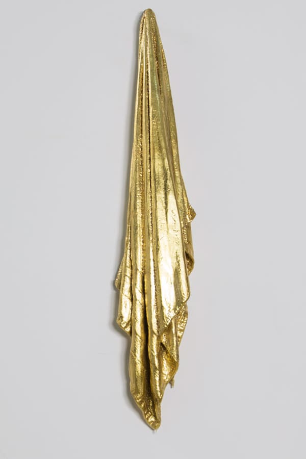 Hamilton Aguiar, 15081 Towel