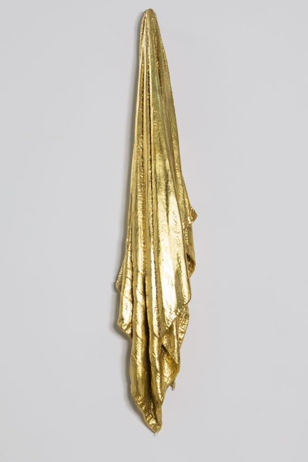 Hamilton Aguiar, 15081 Towel