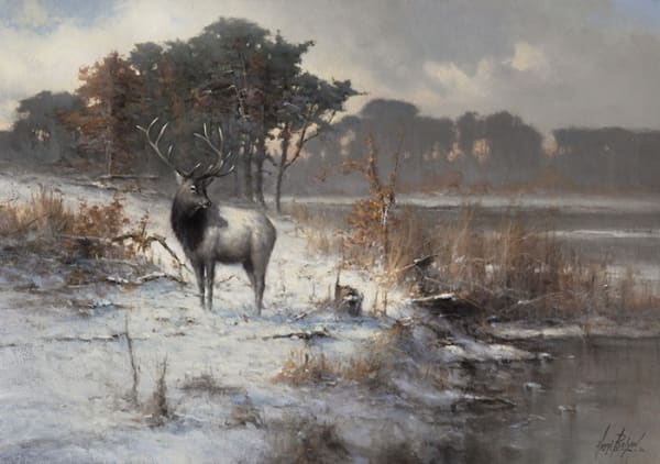 Andre Balyon, Winter Elk