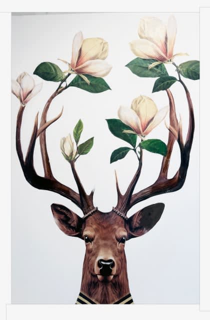 Anke Schofield, Spring Blossoms