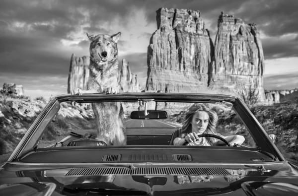 David Yarrow, Drive
