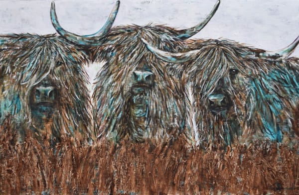 Shawndell, Curiosity