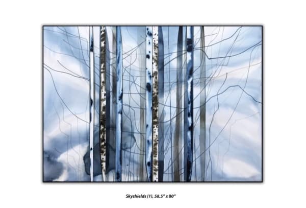 Michael Kessler, Skyshields