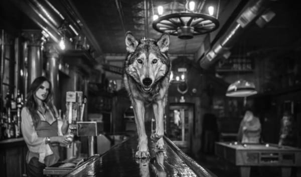 David Yarrow, Friday Night at the Pioneer