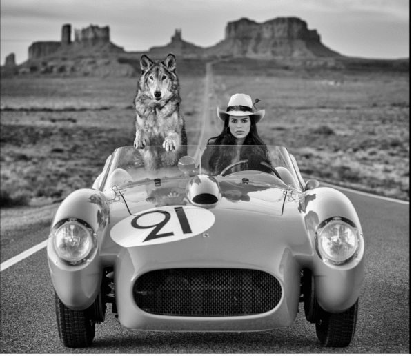David Yarrow, Testarossa