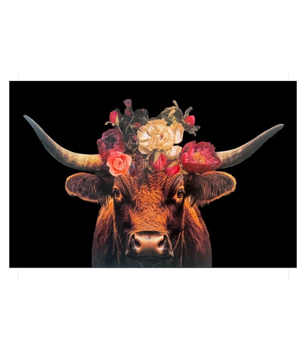 Anke Schofield, Field of roses