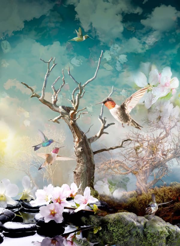 Antal Goldfinger, Resplendent Afternoon