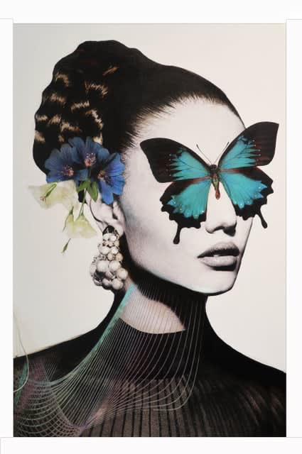 Anke Schofield, Madame Victoria