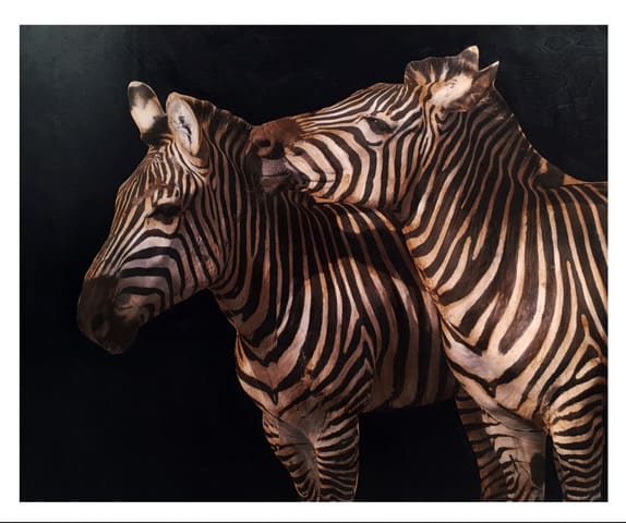 Anke Schofield, The Whisper