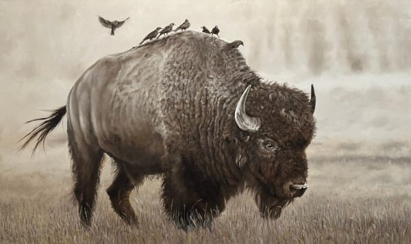 Doug Behm, Free Ride