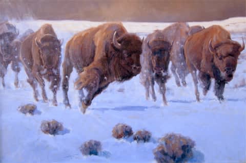 John Demott, Fury on the Plains