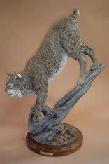 Sam Terakedis, Cat & Mouse