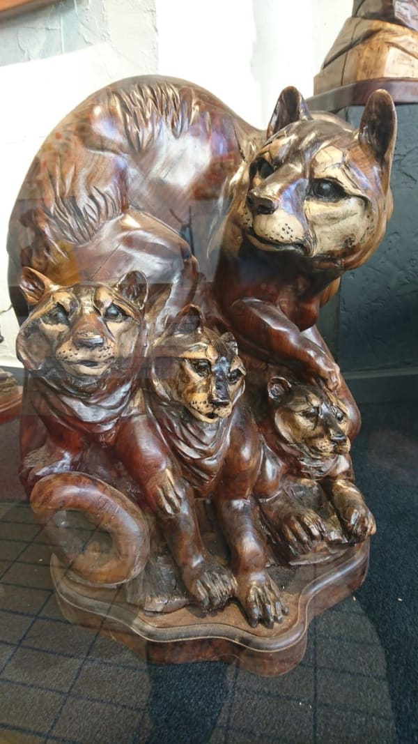 J. Chester Armstrong, Protect and Defend