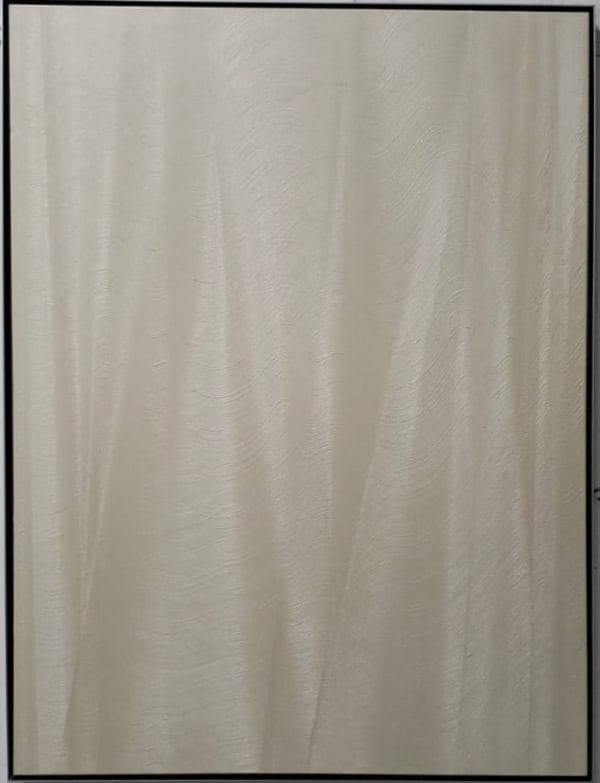 Hamilton Aguiar, Optical 24111