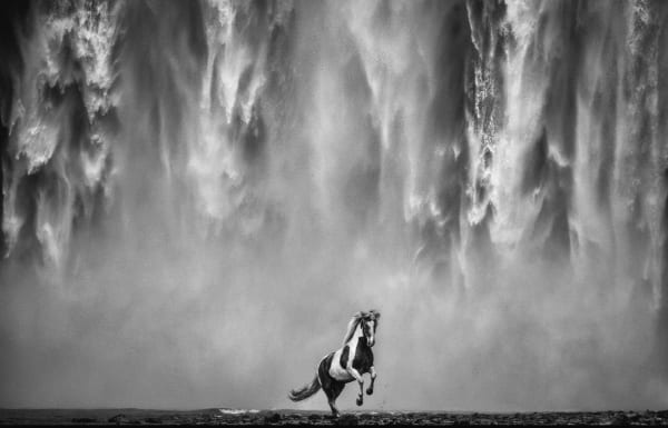 David Yarrow, Legends of the Fall