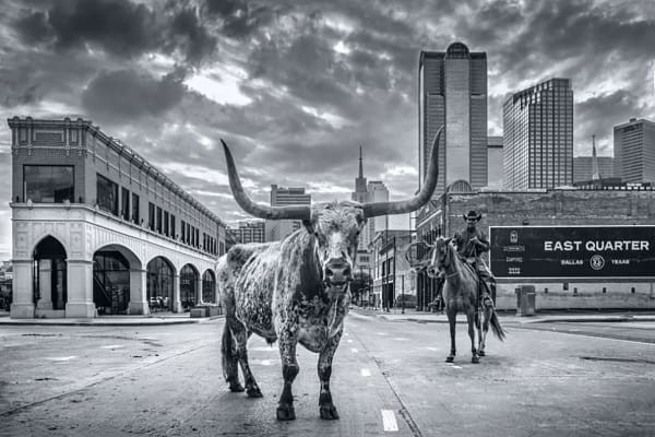 David Yarrow, A Dallas Cowboy
