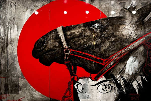 Ashley Collins, Hinomaru